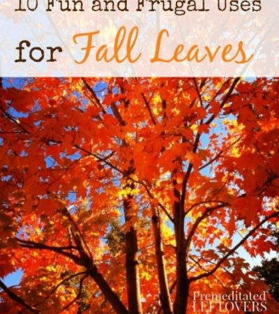 10 Fun and Frugal Uses for Fall Leaves