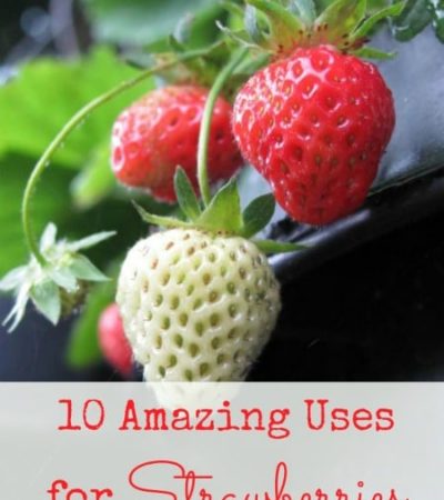 10 Amazing Uses for Strawberries