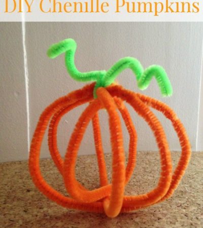 DIY Cheniile Pumpkins - A fun fall craft for kids