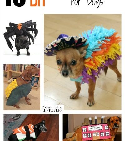 10 DIY Halloween Costumes for Dogs
