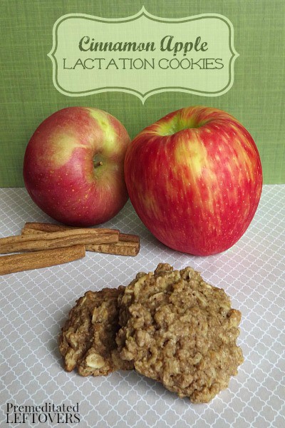 This recipe for Apple Cinnamon Lactation Cookies is full of whole oats, flax meal and brewer's yeast to support lactation and tastes delicious!