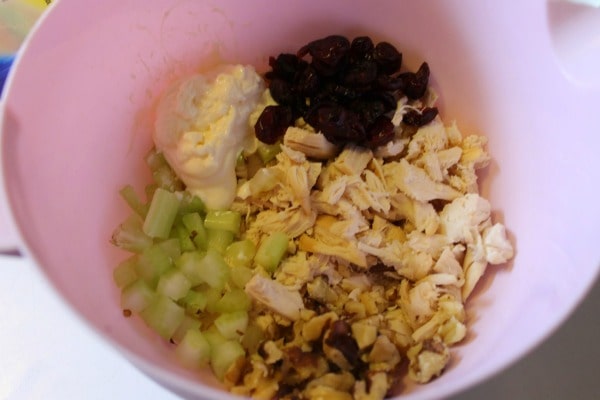 cranberry walnut chicken salad mix