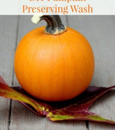 DIY Pumpkin Preserving Wash