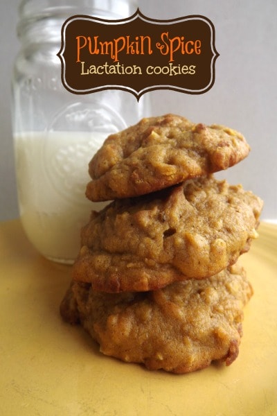 Pumpkin Spice Lactation Cookies recipe with whole oats, brewer’s yeast, and flax meal to provide your body needed nutrients to support lactation.