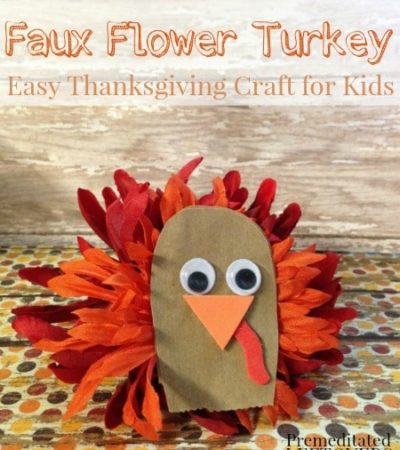 DIY Faux Flower Turkey Craft for Kids