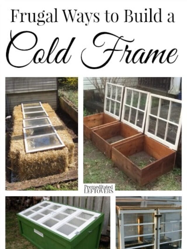 Creative & Frugal Ways to Build a Cold Frame Story