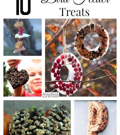 10 DIY Bird Feeder Treats- Bird watching in the winter is a fun thing to do for the young and old alike. These bird feeder treats will draw a great crowd!