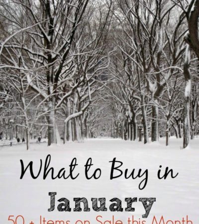 What to Buy in January- If you want to save more money in the new year, take a look at this list of 50 items you can find on sale or clearance this
