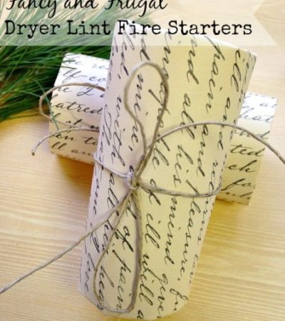 Fancy DIY Dryer Lint Fire Starters