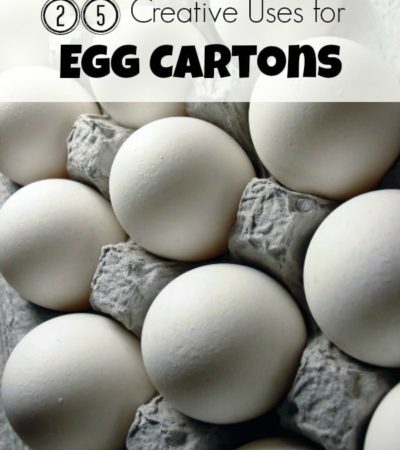 25 Creative Ways to Reuse Egg Cartons- Don't toss your egg cartons! These tips will show you how to reuse them for organization, storage, and crafts.