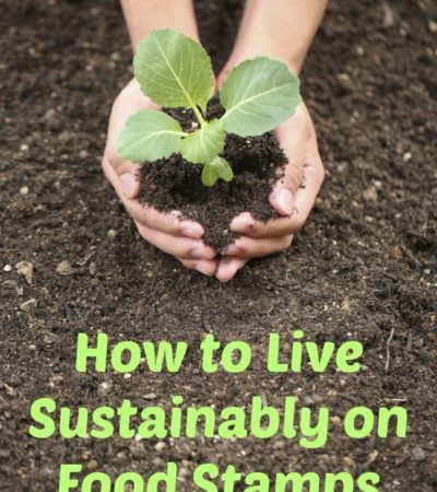 Living green on food stamps is achievable (and can even save you money) using these tips for How to Live Sustainably on Food Stamps.