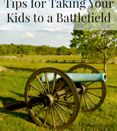 Here are some Tips for Visiting Historic Battlefields with Kids, to make it a positive and educational experience for your kids.
