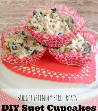 DIY Suet Cupcakes - These DIY suet cupcakes, made with leftover grease, cupcakes cups, and birdseed are a fun and frugal way to attract birds to your yard.