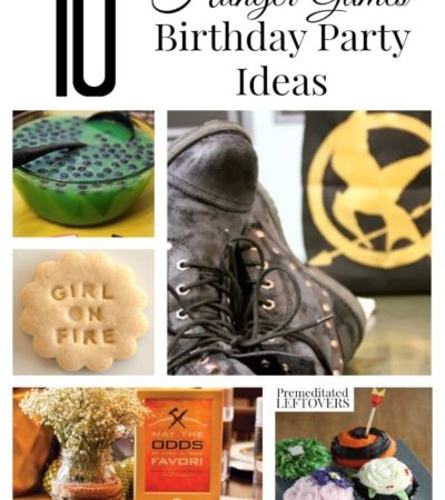 10 Hunger Games Birthday Party Ideas