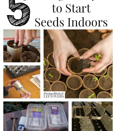 5 Ways to Start Seeds Indoors and tips for starting seedlings. Includes 5 ways to save money by making your own seed starters from recycled materials.