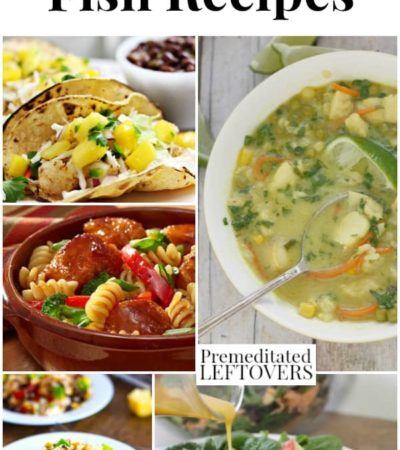 25 Leftover Fish Recipes - Tips and recipe ideas to use up leftover fish including fish soups, fish salads, fish tacos, pasta with fish, and fish patties.