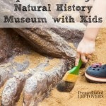 Tips for Visiting a Natural History Museum with Kids