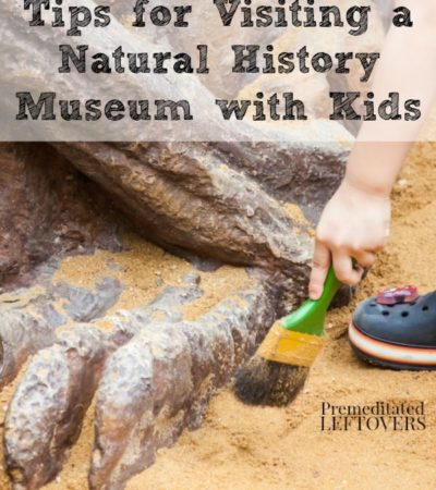Tips for Visiting a Natural History Museum with Kids