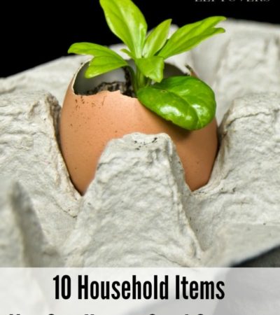 10 Household Items You Can Use as Seed Starters
