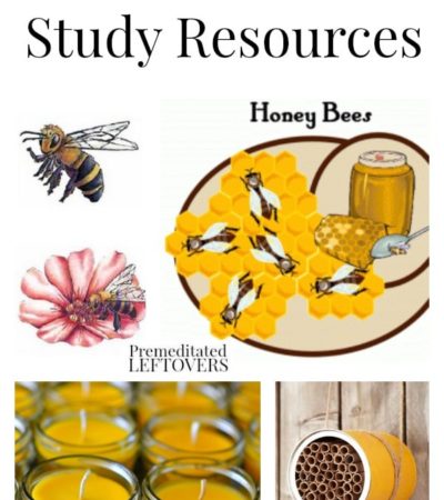 Bee Unit Study Resources including books about bees, bee crafts, educational bee videos, bee printables and bee study unit ideas.