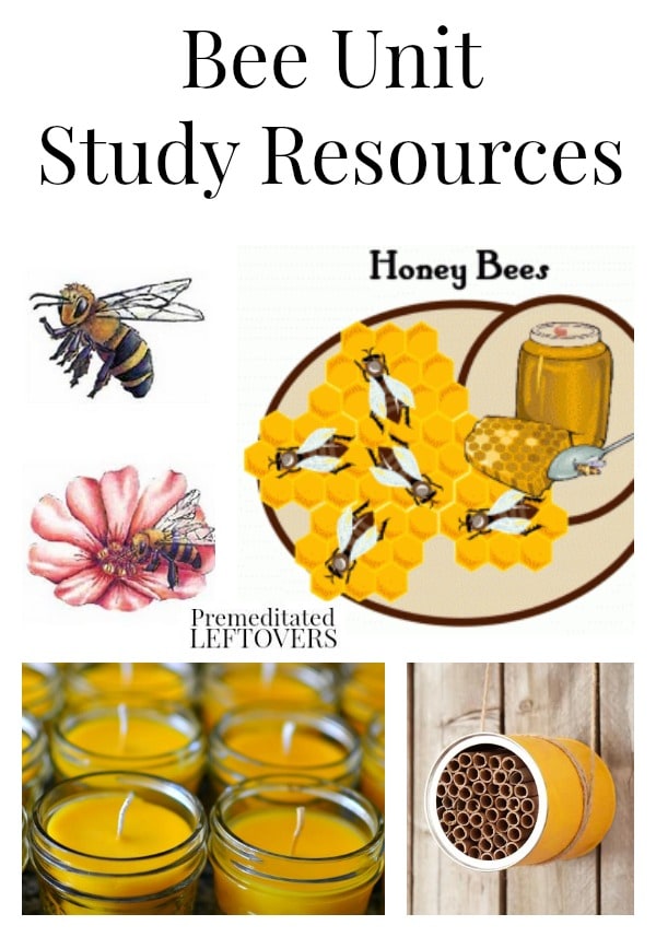 Bee Unit Study Resources including books about bees, bee crafts, educational bee videos, bee printables and bee lapbooks, and more bee resources.