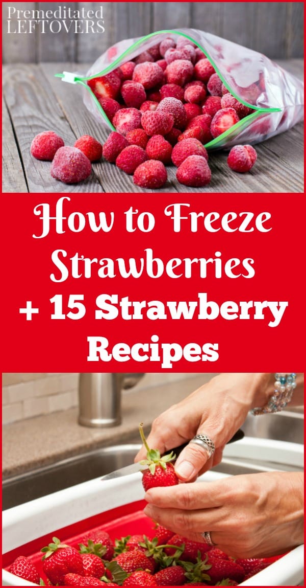 Learn how to freeze strawberries when they are in season to use throughout the year, and enjoy them in 15 delicious strawberry recipes.