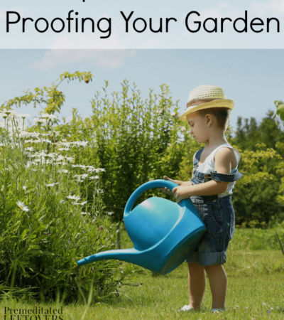 Tips for Child Proofing Your Garden