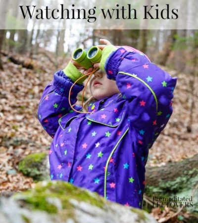 What You Need for Bird Watching with Kids