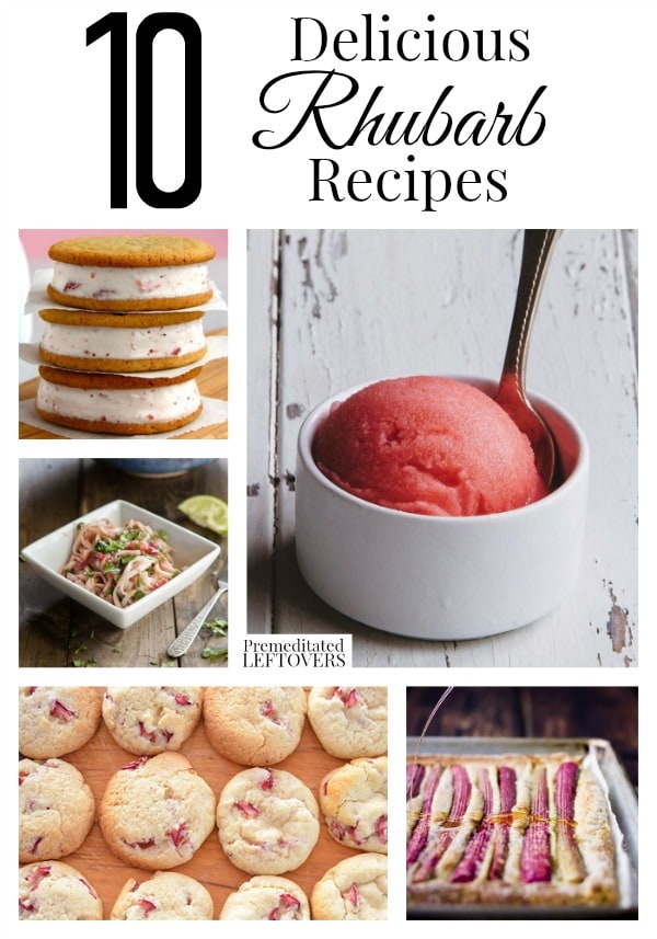 10 Delicious Rhubarb Recipes + How to freeze rhubarb. Includes rhubarb jams, rhubarb desserts, rhubarb drinks, rhubarb sauces, & other easy rhubarb recipes.