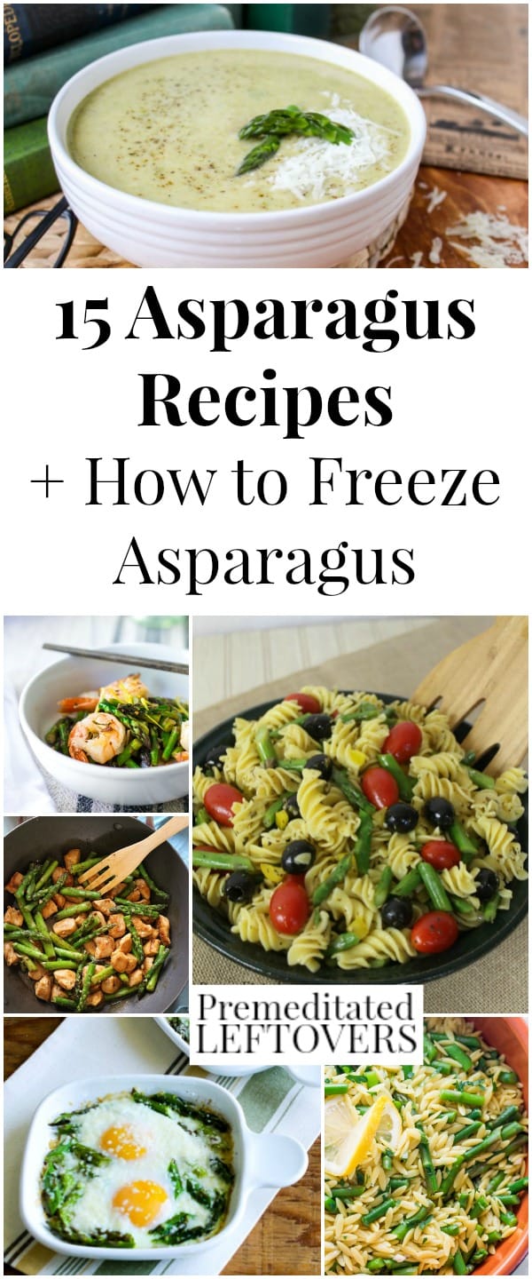 Learn how to freeze asparagus and try these 15 asparagus recipes, including asparagus breakfast dishes, asparagus pasta dishes, asparagus fries, and more!