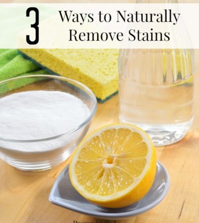 3 Ways to Naturally Remove Stains including the best way to remove stains naturally, natural stain lifters and how to naturally clean carpet stains.