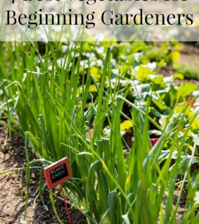 7 Best Vegetables for Beginning Gardeners