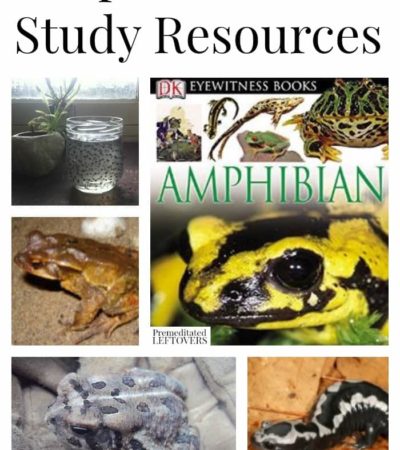 Amphibians Unit Study Resources including Amphibian lapbooks and printables, Amphibian books, amphibian activities and Lesson plan ideas.