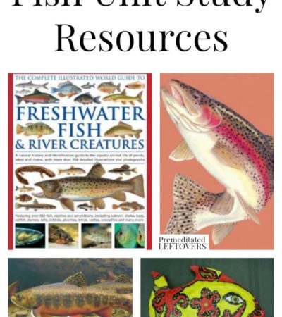 Fish Unit Study Resources including educational fish videos, fish unit study lapbooks and printables, fish craft projects and more fish unit study ideas.