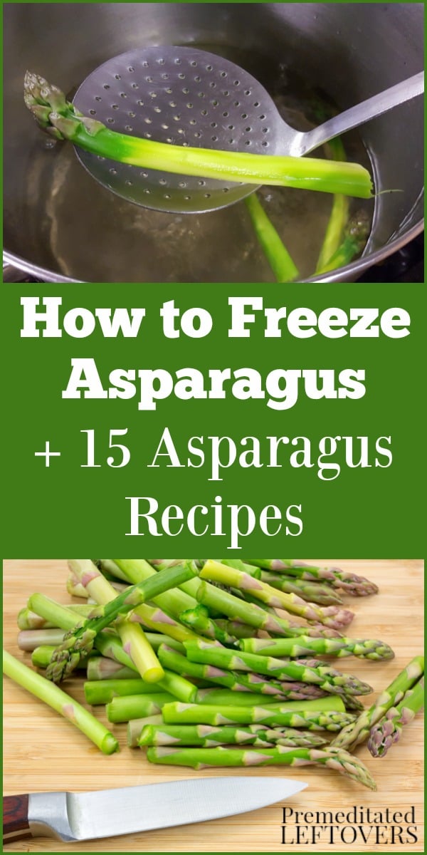 Learn how to freeze asparagus and try these 15 asparagus recipes, including asparagus breakfast dishes, asparagus pasta dishes, asparagus fries, and more!