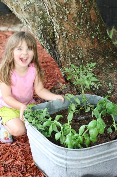 How to Grow a Pizza Garden with Kids