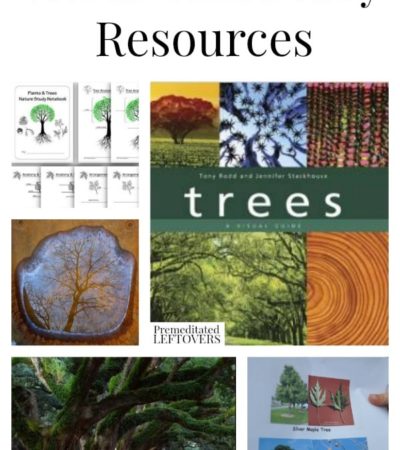 Tree Unit Study Resources including educational tree videos, tree identification projects and other tree unit study ideas.