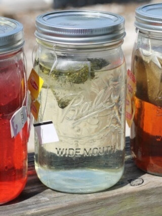 How to Make Sun Tea with Kids Story