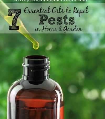 7 Essential Oils to Repel Pests in Your Home and Garden