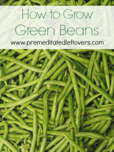 How to Grow Green Beans in Your Garden - From Seed to Harvest