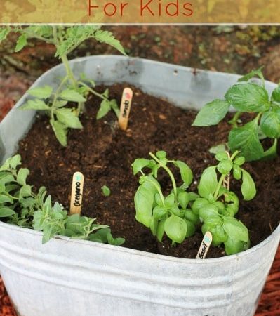 How to Grow a Pizza Garden with Kids