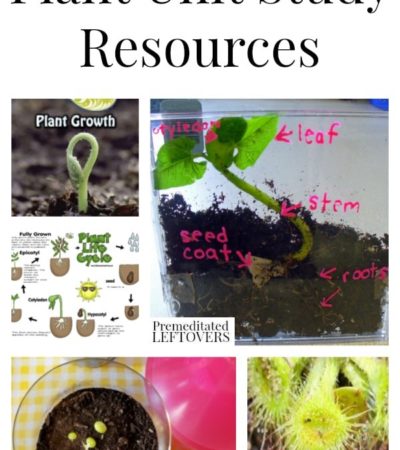Plant Unit Study Resources including plant lesson plans, plant printables, plant lapbooks, plant videos and plant unit lesson plans.