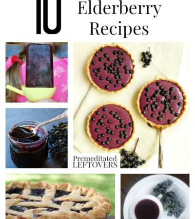 10 Awesome Elderberry Recipes including how to make elderberry syrup, how to grow elderberries, the benefits of elderberries and how to use elderberries.