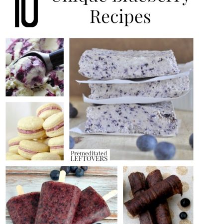 10 Unique Blueberry Recipes including blueberry smoothies, blueberry dinner ideas and ways to use up blueberries including how to freeze blueberries, too!eberry-fruit-leather/