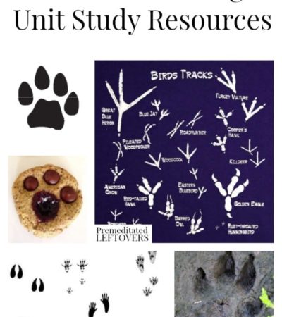 Animal Tracking Unit Study Resources