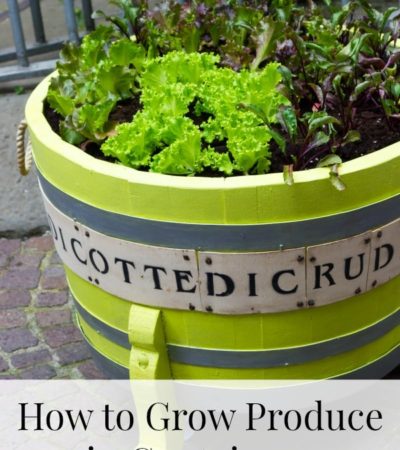 How to grow Produce in Containers including how to grow produce from seed, how to position plants in containers and how to grow veggies in containers.