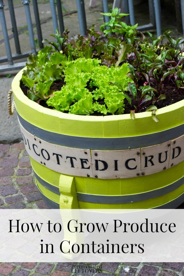 How to grow Produce in Containers including how to grow vegetables from seed, how to position plants in containers and how to grow veggies in containers.