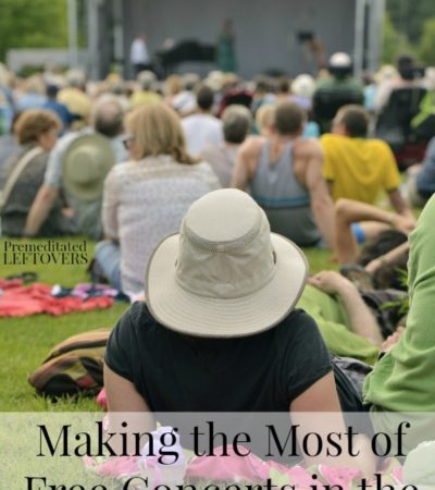 Making the Most of Free Concerts in the Park