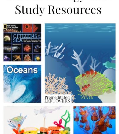 Marine Biology Unit Study Resources including marine biology lesson plan ideas, ocean unit study ideas, and educational resources for ocean studies.