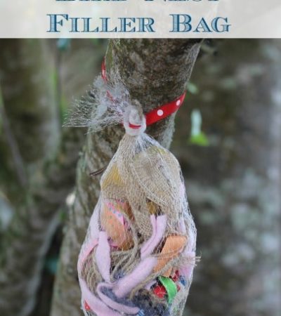 Bird Nest Filler Bag- Teach kids about birds and recycling with these fun scrap bags. Hang them outside and see how many feathered friends they attract.